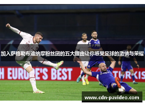 加入萨格勒布迪纳摩粉丝团的五大理由让你感受足球的激情与荣耀