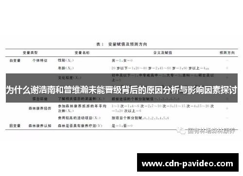 为什么谢浩南和曾维瀚未能晋级背后的原因分析与影响因素探讨