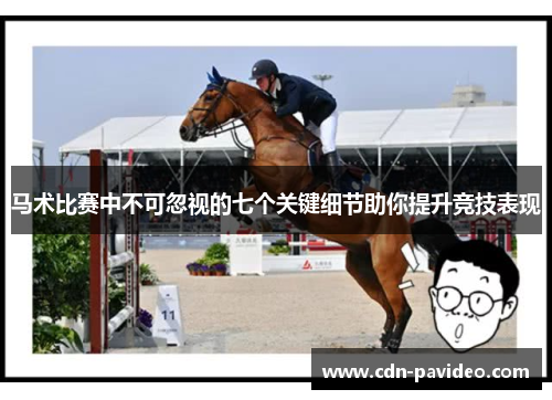 马术比赛中不可忽视的七个关键细节助你提升竞技表现