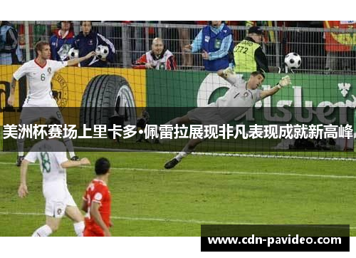 美洲杯赛场上里卡多·佩雷拉展现非凡表现成就新高峰