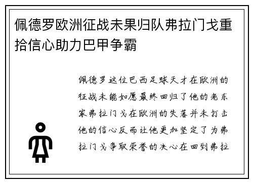 佩德罗欧洲征战未果归队弗拉门戈重拾信心助力巴甲争霸