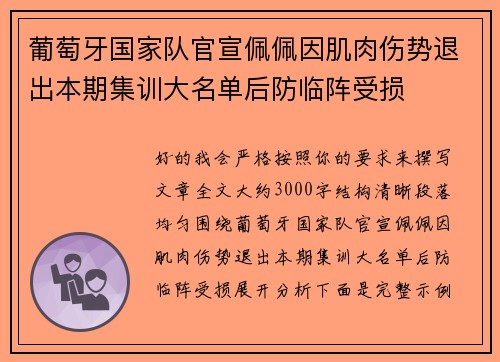 葡萄牙国家队官宣佩佩因肌肉伤势退出本期集训大名单后防临阵受损