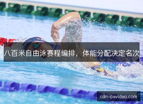 八百米自由泳赛程编排，体能分配决定名次